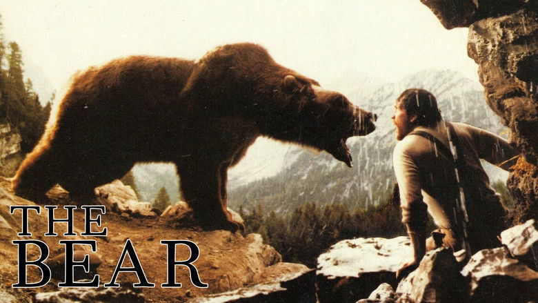 The Bear still