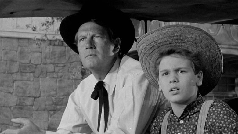 Stars in My Crown still