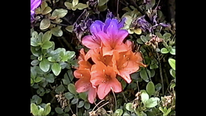 memory consolidation 01 still 1