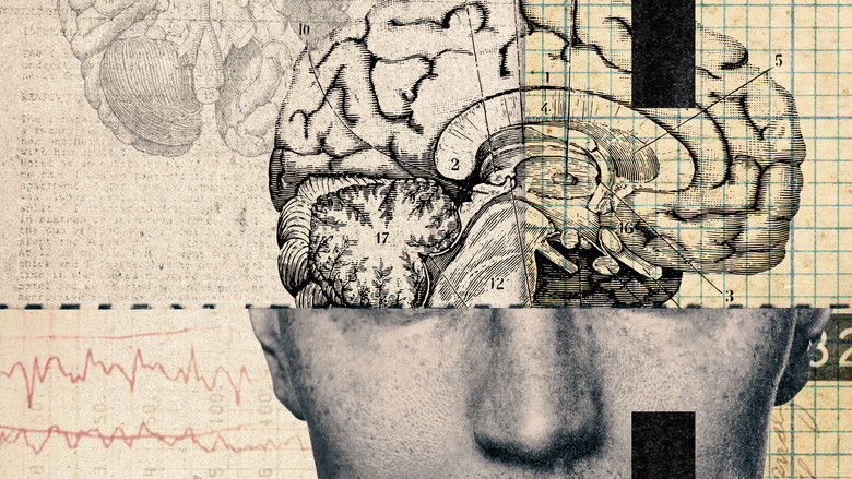 Crazy, Not Insane still