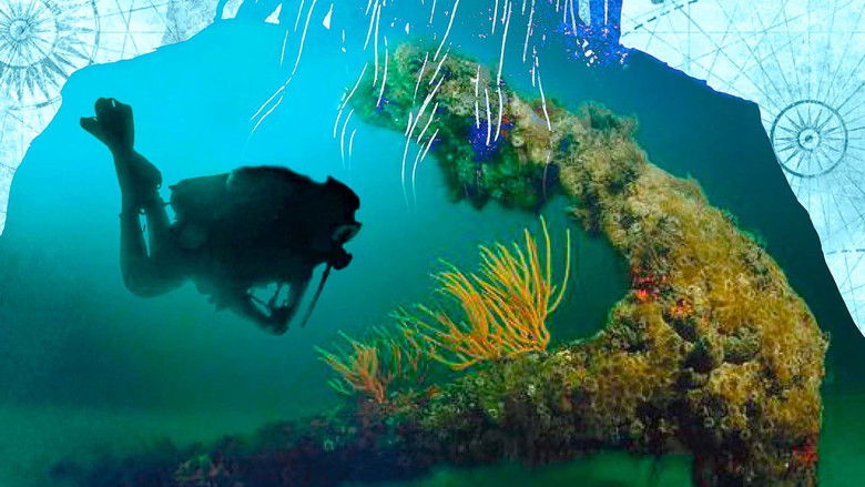 The True Story of Pirates still