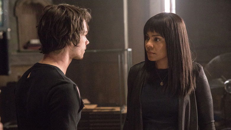 American Assassin still