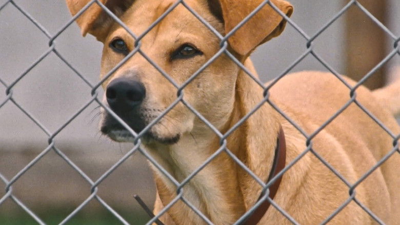 Wendy and Lucy still 2