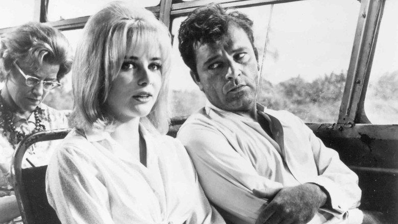 The Night of the Iguana still 3