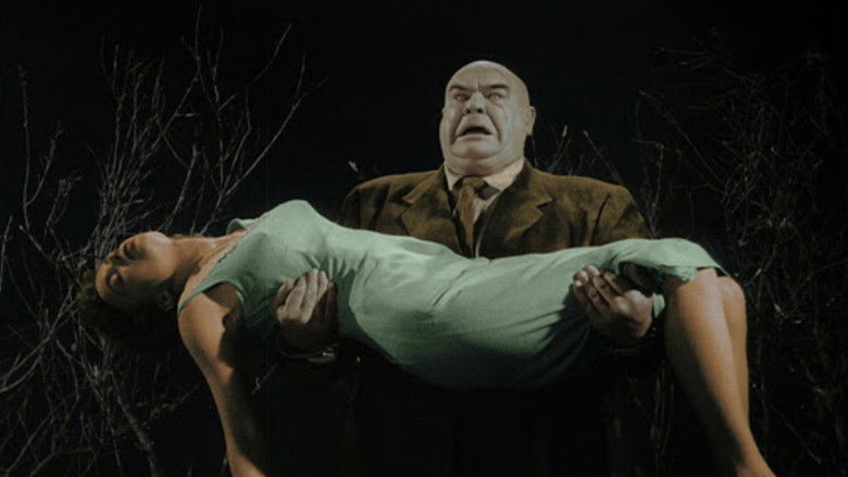 Plan 9 from Outer Space still