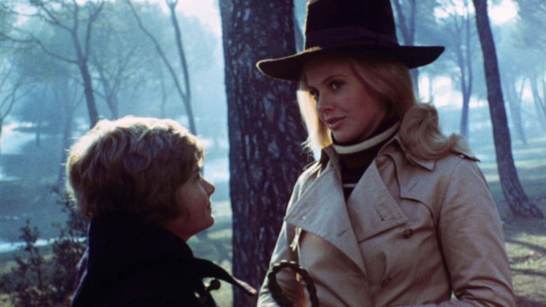 What the Peeper Saw still