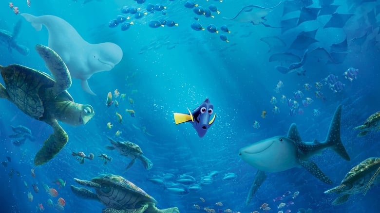 Finding Dory still 1