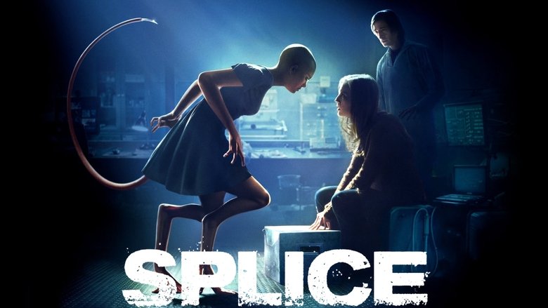 Splice still