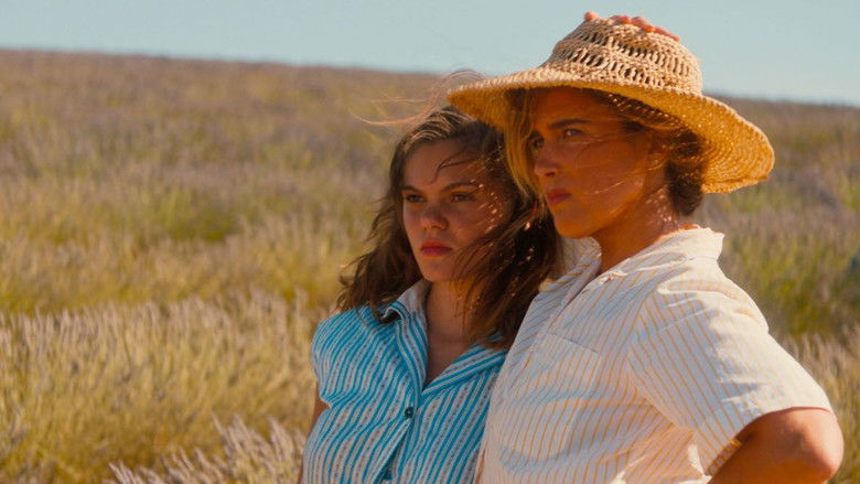 Valensole 1965 still