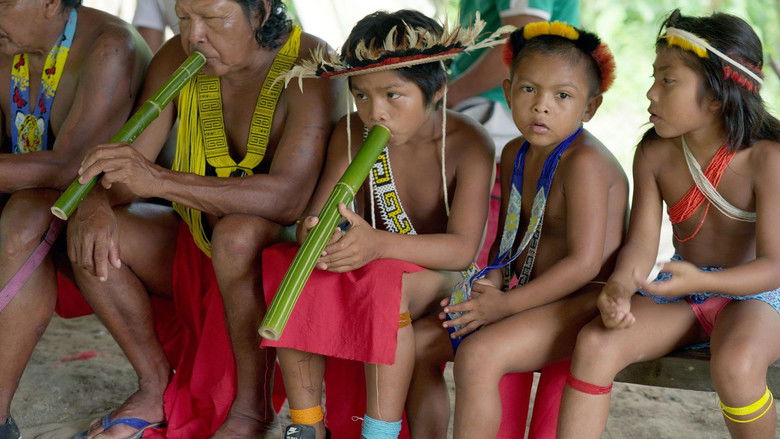 Amazonie, les murmures de la forêt still