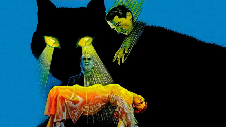 The Black Cat still 1