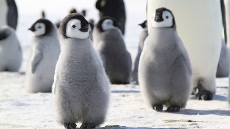 Pengi and Sommi still 1