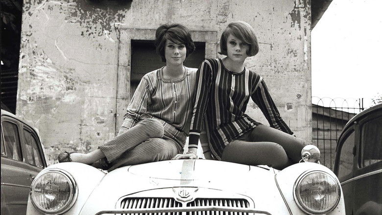 The Door Slams still