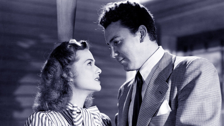 Leather Gloves still 1