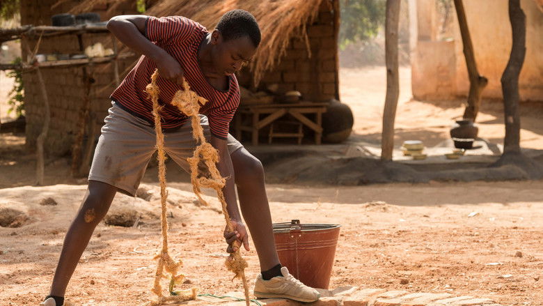 The Boy Who Harnessed the Wind still 3