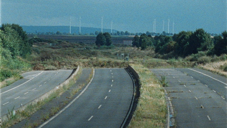 Leaning on the tree still 3