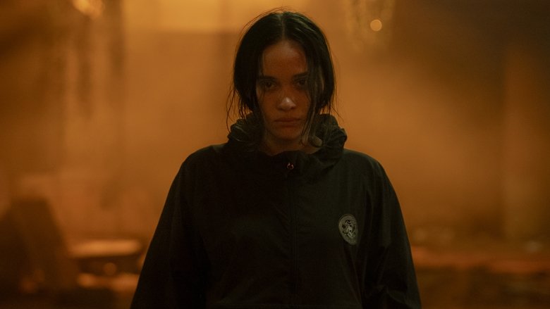 The Shadow Strays still