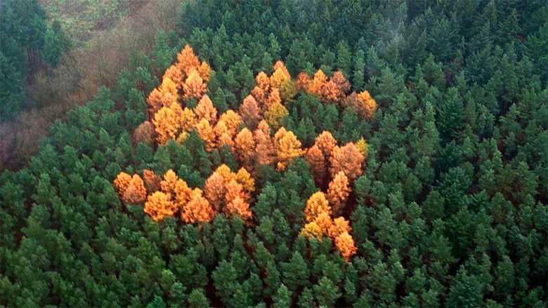 The Story of the Swastika still 1