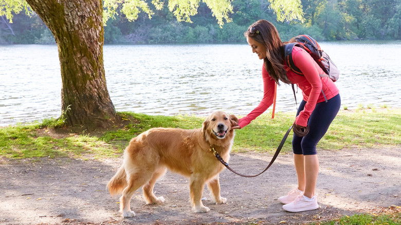 Love and Sunshine still