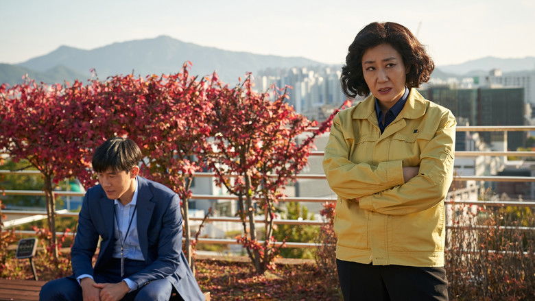 Honest Candidate 2 still 2