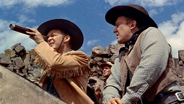 The Man from Laramie still