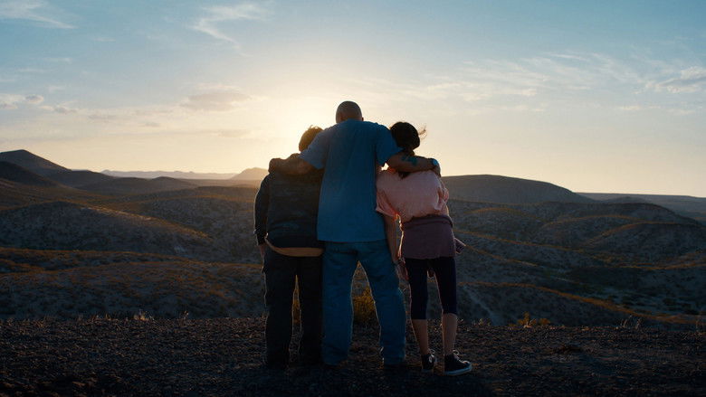 In the Summers still