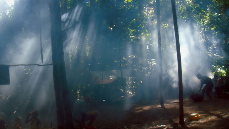 Song from the Forest still