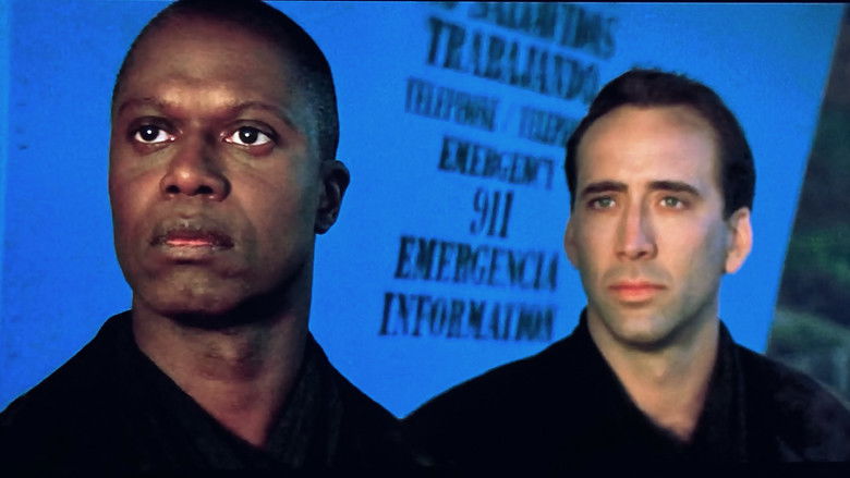 City of Angels still 4