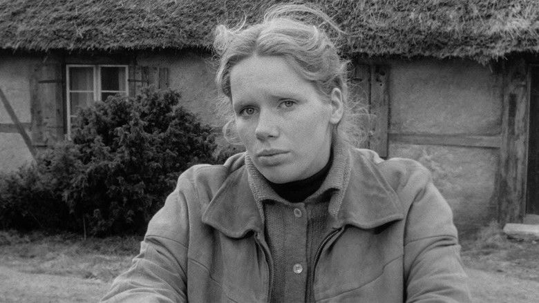 Hour of the Wolf still