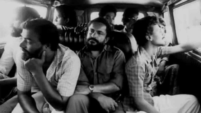 Report to Mother still 2