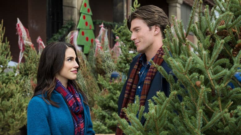 Merry Matrimony still