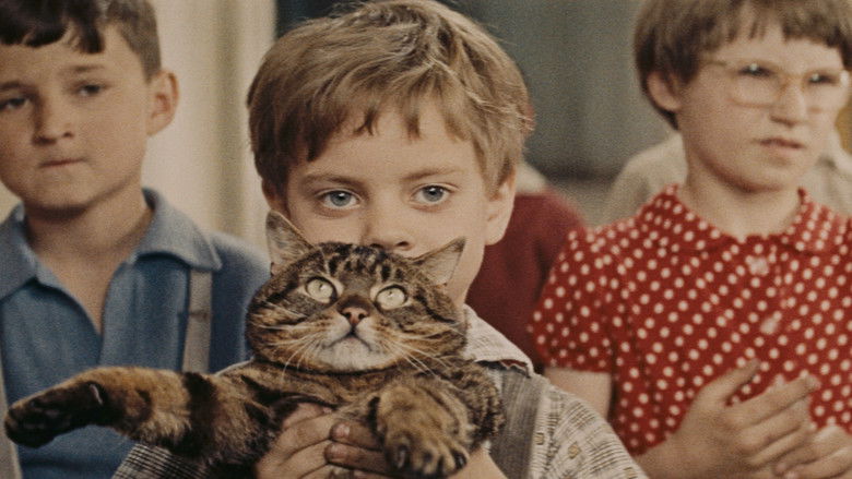 When the Cat Comes still