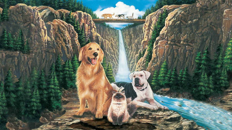 Homeward Bound: The Incredible Journey still 3