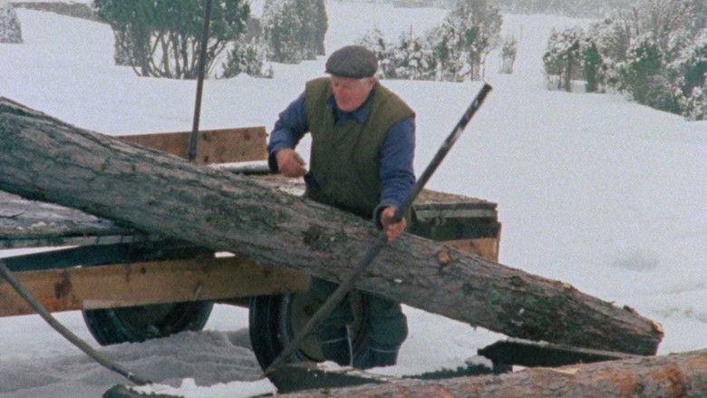 Fårö Document 1979 still