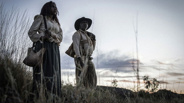 Sweet Country still