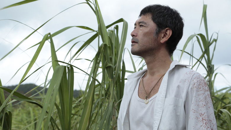 Still the Water still