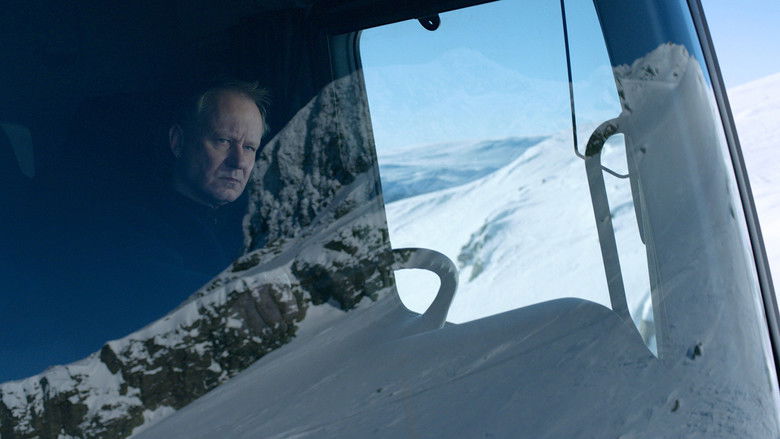 In Order of Disappearance still 4
