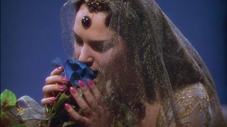 The Thief of Bagdad still