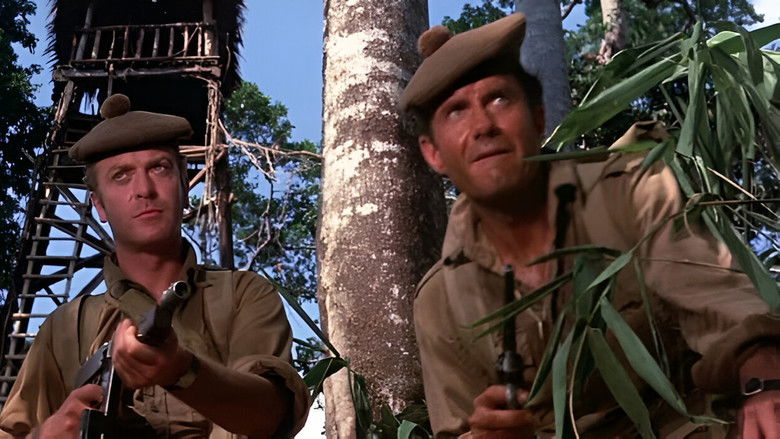 Too Late the Hero still