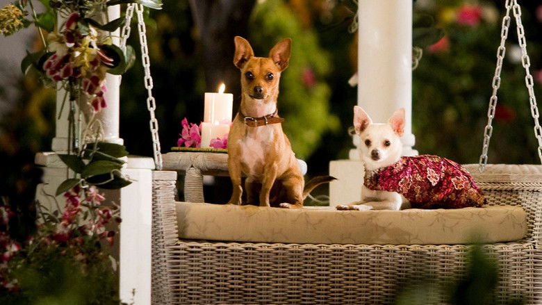 Beverly Hills Chihuahua still 3