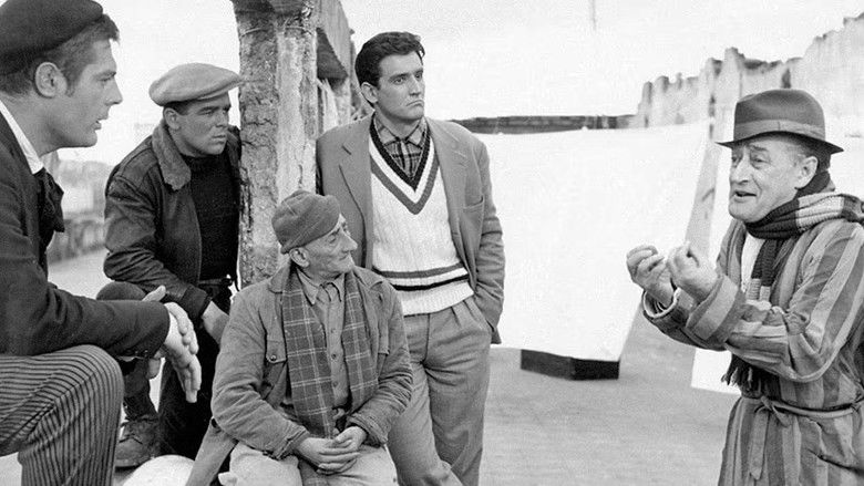 Big Deal on Madonna Street still