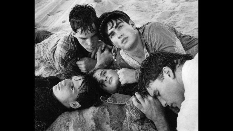 Beauty Brothers still 1