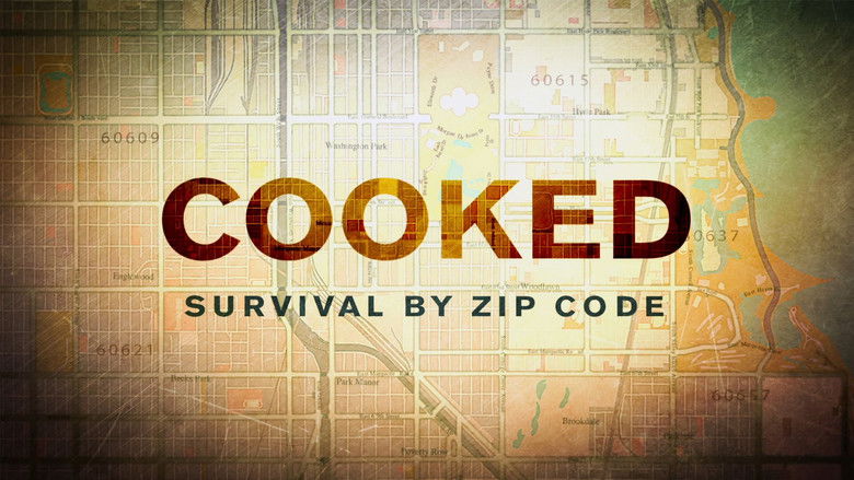 Cooked: Survival by Zip Code still 1