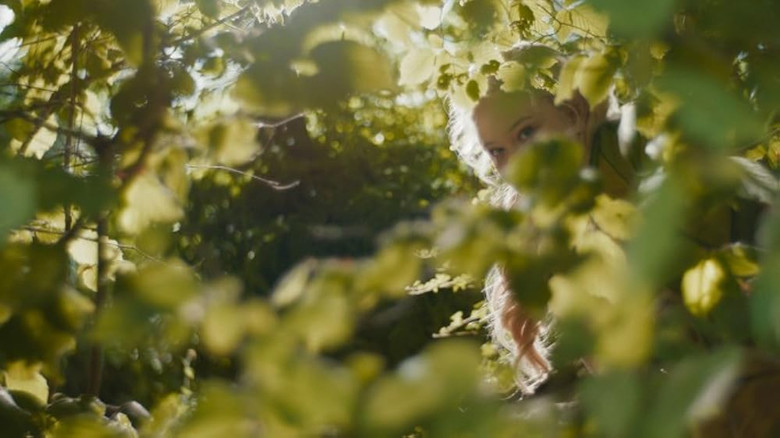 The Magic Faraway Tree still