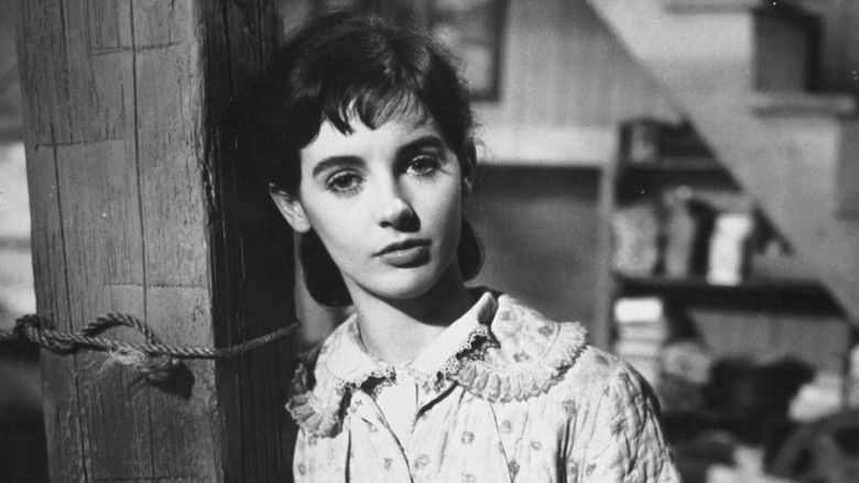 The Diary of Anne Frank still