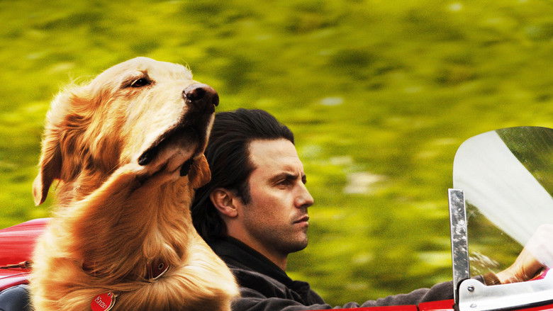 The Art of Racing in the Rain still