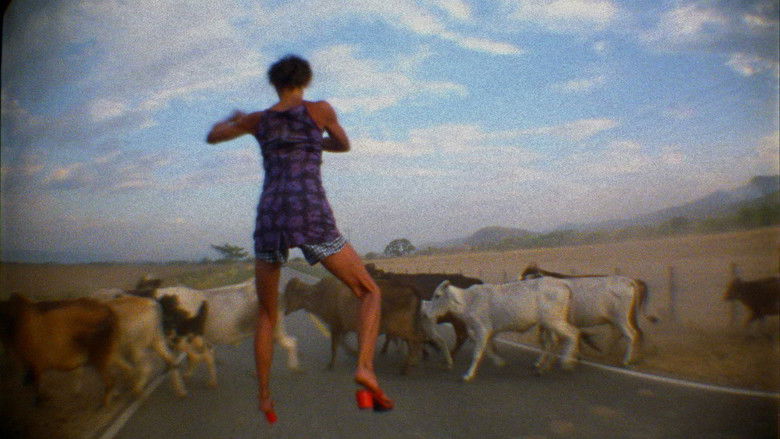 El Colombian Dream still 2