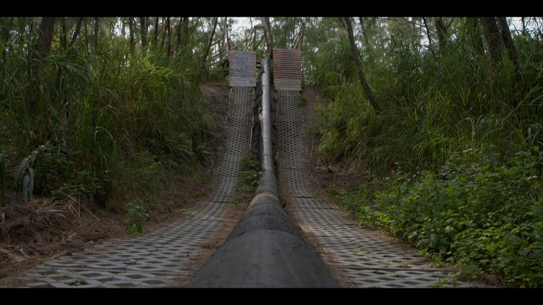 Dirt Therapy still 1