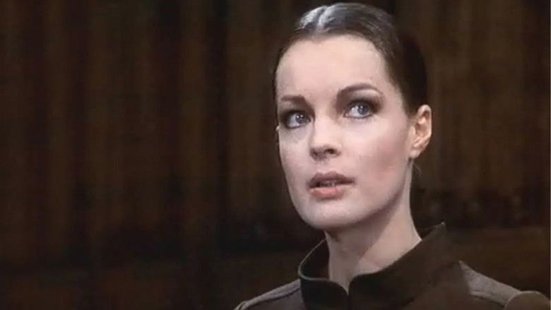 My Lover, My Son still