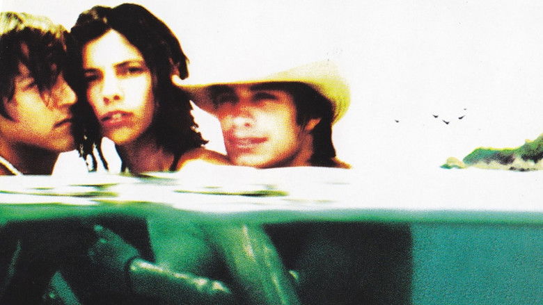 Y Tu Mamá También still 4